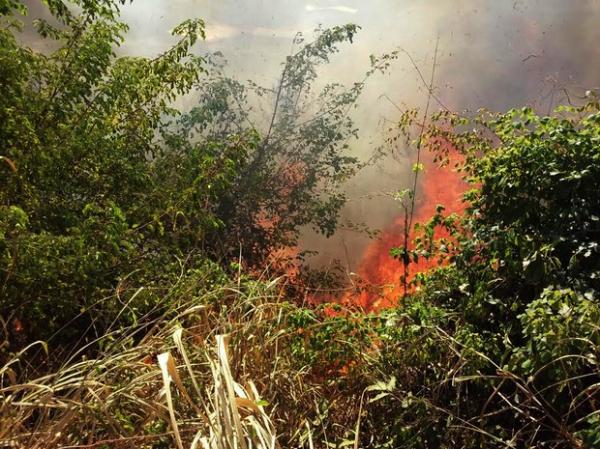 Tempo quente e seco favorece a ocorrência de queimadas.(Imagem:Fernando Brito/G1)