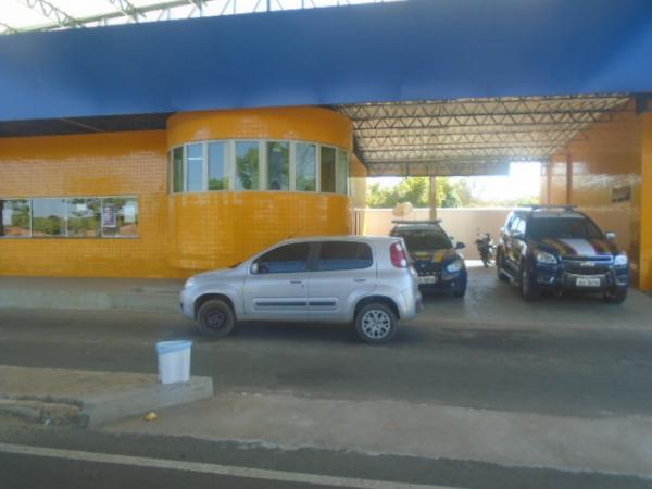 Veículo trasportava aves silvestres(Imagem:FlorianoNews)