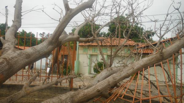 Forte ventania arrancou árvores e placas em Floriano.(Imagem:FlorianoNews)