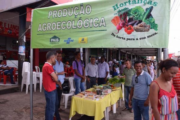 Feira Agroecológica de Floriano.(Imagem:Waldemir Miranda)