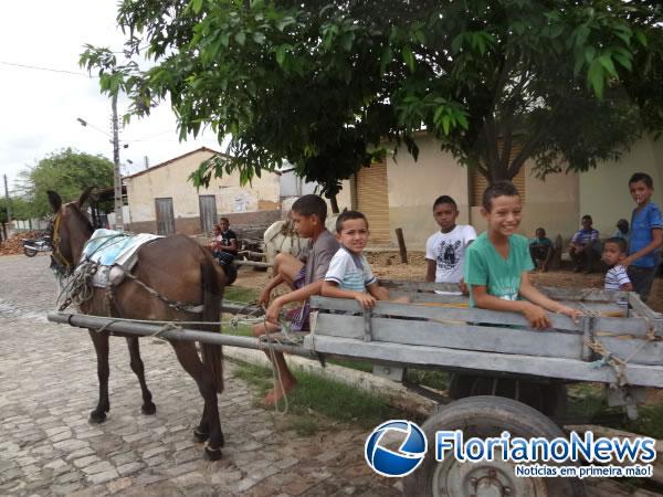 Festa dos Carroceiros atraiu dezenas de participantes em Nazaré do Piauí.(Imagem:FlorianoNews)