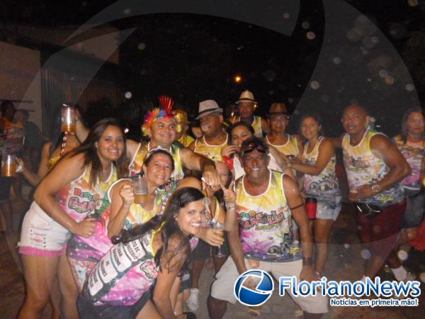 Bloco Galefolia anima o carnaval no bairro São Cristóvão(Imagem:FlorianoNews)