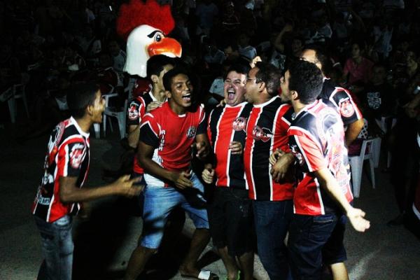 Explosão de alegria: torcida grita pela Série C .(Imagem:André Leal)