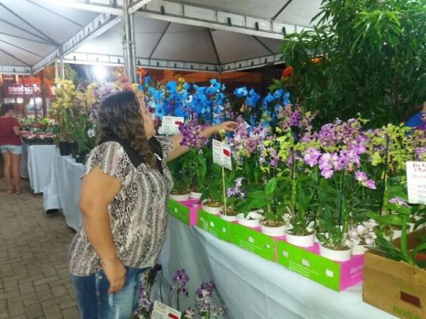 Realizado em Floriano o 3° Festival das Flores de Holambra.(Imagem:Silvio Rui)