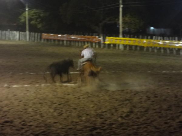 Devassa participa da IV Vaquejada no Parque Arudá Bucar.(Imagem:FlorianoNews)