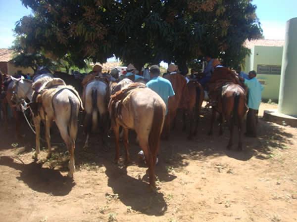 Vaqueiro morre em festejos de Marcos Parente(Imagem:FlorianoNews)