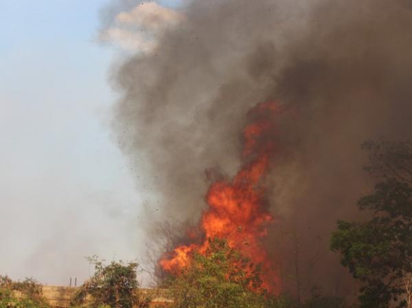 Piauí é o terceiro estado do país em número de queimadas, segundo o Inpe.(Imagem:Ellyo Teixeira/G1)