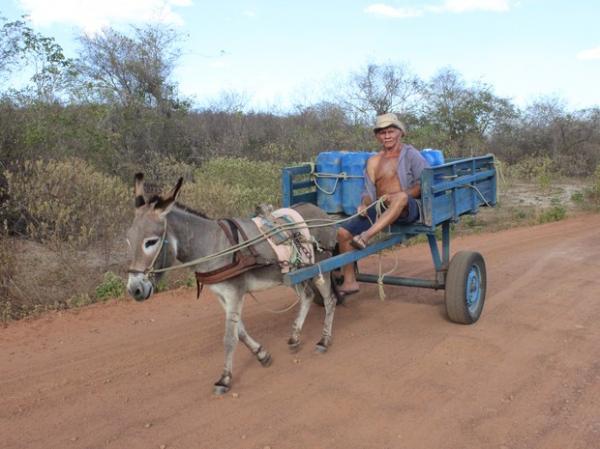 Aposentado percorre em uma carroça 10 km em busca de água.(Imagem:Gilcilene Araújo/G1)