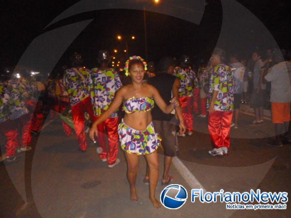 Animação e irreverência marcaram desfile das Escolas de Acesso em Floriano.(Imagem:FlorianoNews)