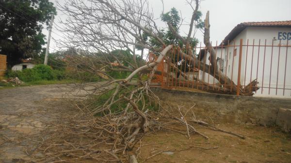 Forte ventania arrancou árvores e placas em Floriano.(Imagem:FlorianoNews)