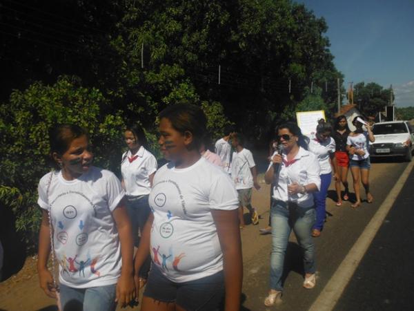 Caminhada e plantio de árvores marcam enceramento de Projeto Ambiental em Barão de Grajaú. (Imagem:FlorianoNews)