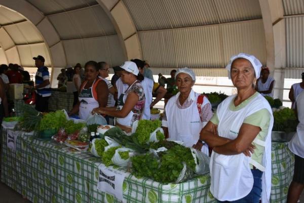  II Feira da Agricultura Familiar de Floriano movimenta a economia local e é sucesso de público.(Imagem:SECOM)