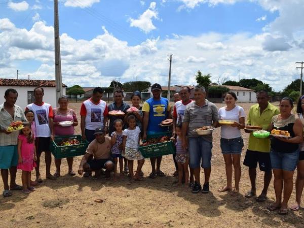 Famílias driblam a seca e investem na plantação de uvas no sertão do PI.(Imagem:Alonso Gomes)