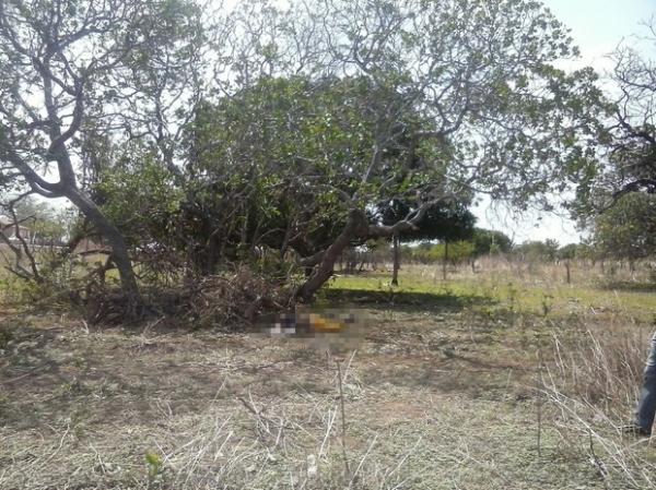 Corpo de agricultor foi achado na zona rural de cidade do Piauí.(Imagem:Aline Toledino/Arquivo pessoal)