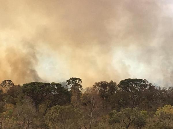 Incêndio florestal atingiu o Parque Burle Marx, na região do Noroeste, no Distrito Federal.(Imagem:Flávia Alvarenga/ TV Globo)