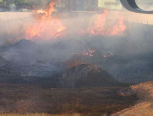 Incêndio atinge terreno baldio no bairro Rede Nova(Imagem:FlorianoNews)