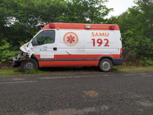 Ambulância do SAMU fica avariada ao colidir contra animal na rodovia PI-143(Imagem:Reprodução/Portal Colônia News)