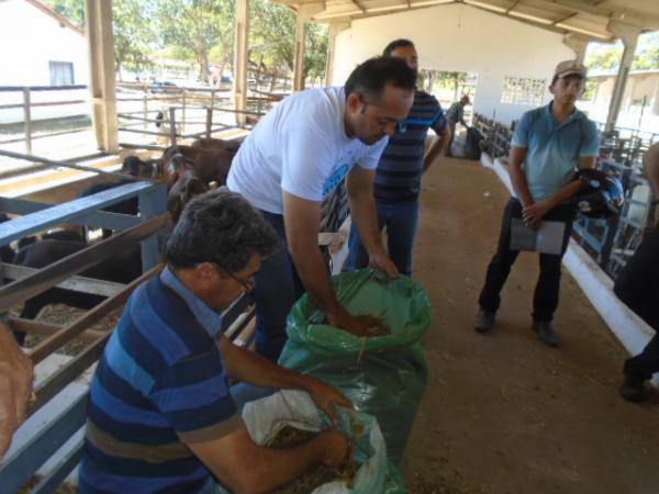 SEBRAE oferece curso sobre alimentação animal para produtores de Floriano.(Imagem:FlorianoNews)