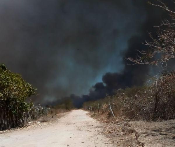 Incêndio no assentamento Santa Clara, em Canto do Buriti (PI).(Imagem:Arquivo Pessoal/Ricardo Pereira)