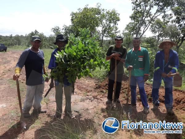 Moradores da localidade Bom Jardim tapam buracos em estrada.(Imagem:FlorianoNews)