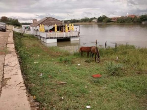 Cais da Beira-Rio antes da limpeza(Imagem:SECOM)
