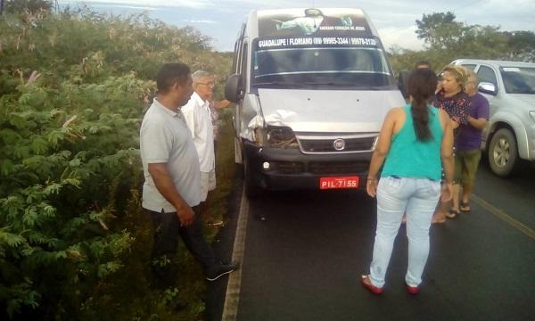 Veículo de transporte alternativo colide com animal na zona rural de Floriano.(Imagem:Jc24horas)
