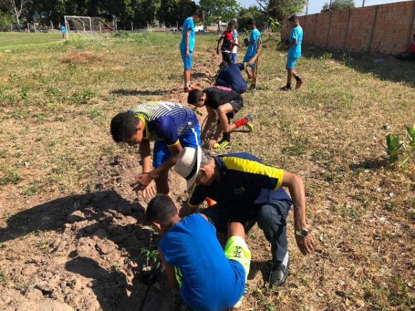 Clube da Agespisa recebe arborização feita pelo Rotary Club Floriano Princesa do Sul.(Imagem:Rotary)