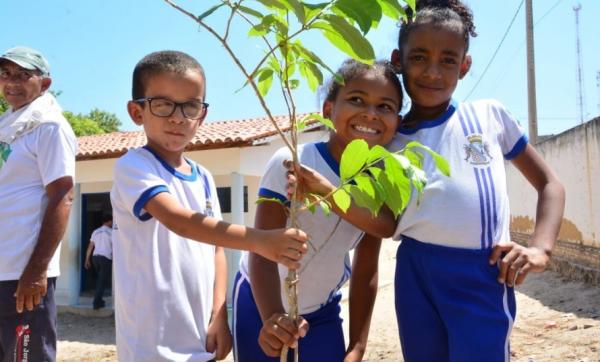 SEMAN realiza o plantio de 14 mudas em escolas municipais de Floriano.(Imagem:Secom)