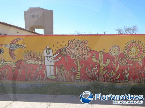 Projeto Mural da Passagem (Imagem:FlorianoNews)