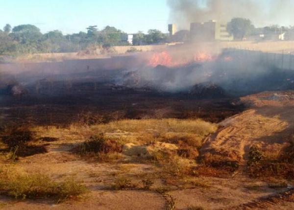 Incêndio atinge terreno baldio no bairro Rede Nova.(Imagem:FlorianoNews)