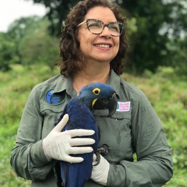 Segundo Neiva Guedes, a presença das aves é um importante indicador de saúde ambiental, que quase chegou ao fim(Imagem:Reprodução/Facebook)