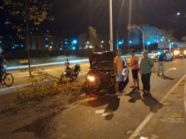 Carro subiu o canteiro e derrubou árvore.(Imagem:Pedro Santiago/ G1)