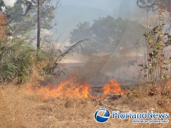 Corpo de Bombeiros registrou dois incêndios em terrenos baldios na tarde desta quinta em Floriano.(Imagem:FlorianoNews)