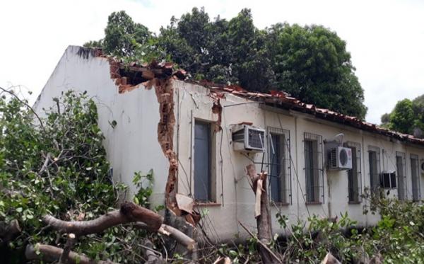 Mais de 20 árvores caem e destroem salas da Uespi.(Imagem:Divulgação)