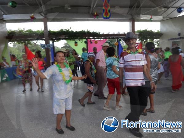 Prefeitura de Floriano realizou Baile de Carnaval da 3ª Idade.(Imagem:FlorianoNews)