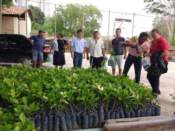 SDR faz distribuição de mudas e sementes para agricultores familiares de Floriano.(Imagem:FlorianoNews)