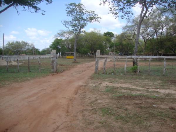 Parque Tatu de Vaquejada(Imagem:redaçao)