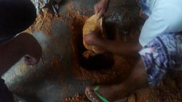 Túnel tinha dois metros de profundidade e dez de comprimento.(Imagem:G1 PI)