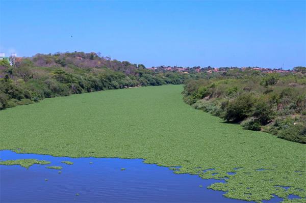 Governo do Piauí estuda elaboração de projetos voltados para a preservação ambiental.(Imagem:RobertaAline/CidadeVerde.com)