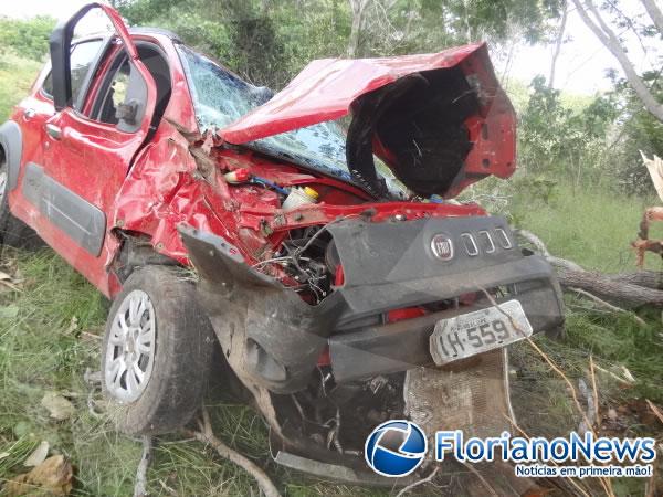 Jovem morre ao colidir em árvore na BR 343(Imagem:FlorianoNews)