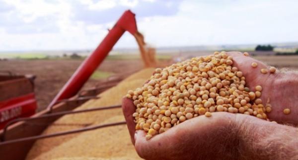 Produção brasileira de grãos deverá crescer 21,5% em 10 anos, estima ministério.(Imagem:Divulgação)