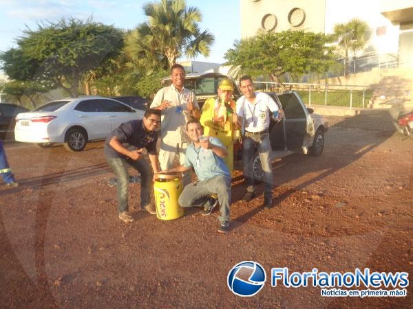 Disvale incentiva carnaval de Floriano e patrocina bloco carnavalesco.(Imagem:FlorianoNews)