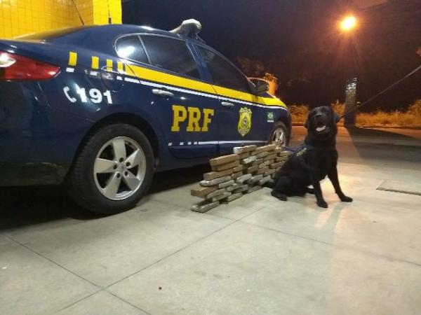 PRF prende mulher com mais de 26 kg de maconha em Floriano.(Imagem:PRF)