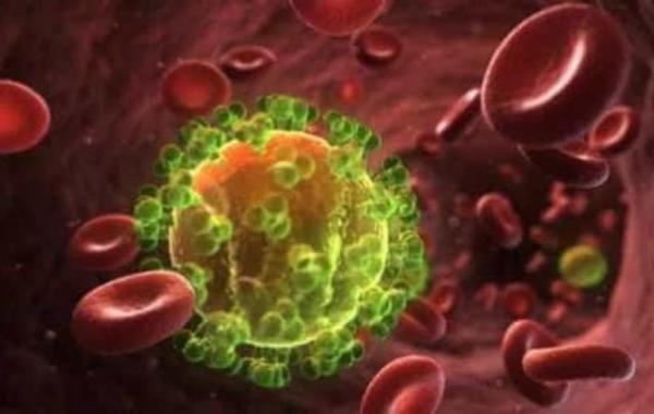 Pesquisadores descrevem novo subtipo do HIV.(Imagem:Estadão Conteúdo)