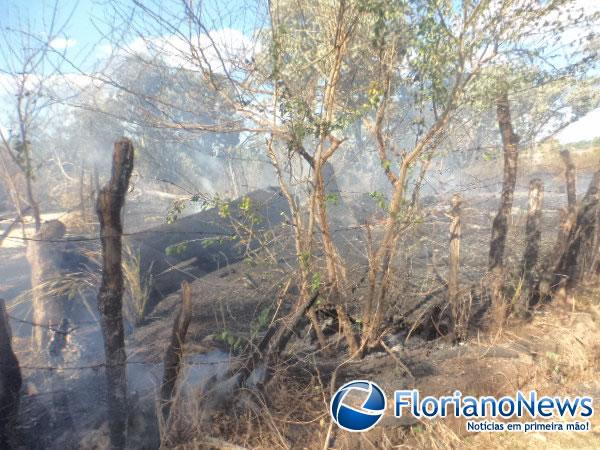 Corpo de Bombeiros registrou dois incêndios em terrenos baldios na tarde desta quinta em Floriano.(Imagem:FlorianoNews)