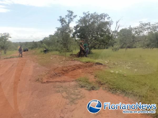 Moradores da localidade Bom Jardim tapam buracos em estrada.(Imagem:FlorianoNews)