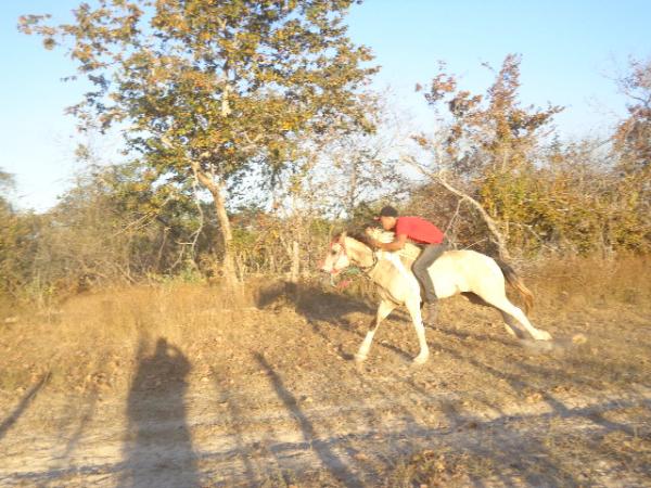 Festa dos vaqueiros é comemorada com corrida de cavalos localidade Manga.(Imagem:FlorianoNews)