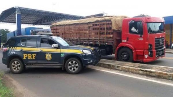 PRF apreende aproximadamente 49 toneladas de madeira irregular em Floriano.(Imagem:PRF)