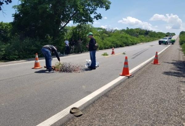 Homem morre após ser atropelado na BR-407.(Imagem:Cidades na Net)