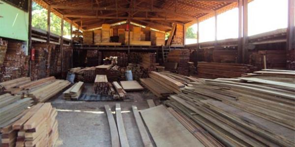 Após a venda dos créditos para a região amazônica, a madeira armazenada no Piauí, que era vendida ao consumidor final, sem controle, ficou descoberta no sistema federal de comérico(Imagem:Ibama/Divulgação)